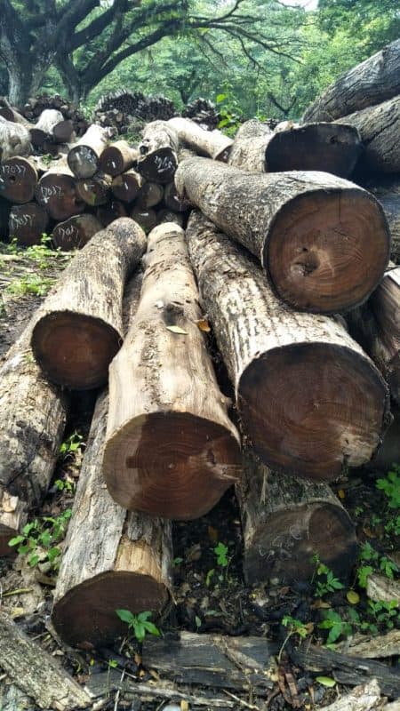 Houten Balkon Bank - Indonesian Legal Wood