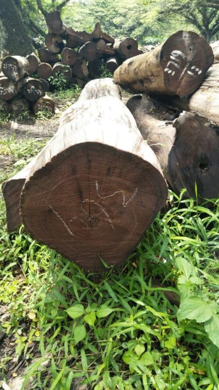 Houten Balkon bank - Indonesian Legal Wood certificering