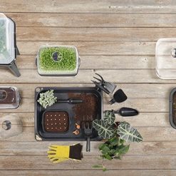 14 delige Kweek starterset moestuinbak - Minikas + accessoires - hoe te gebruiken