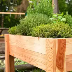 Groente kweekbak op poten - close up