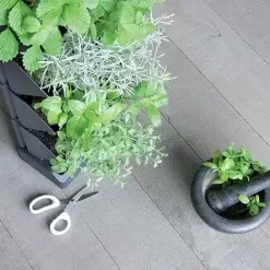Small Vertical Herb Garden